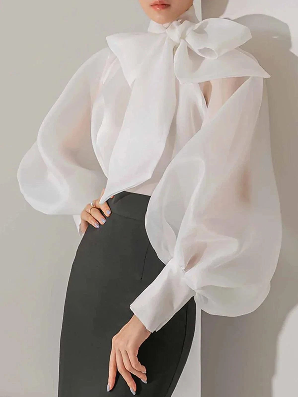 Clara | Blusa Trasparente — Maniche Lunghe E Nodo Elegante