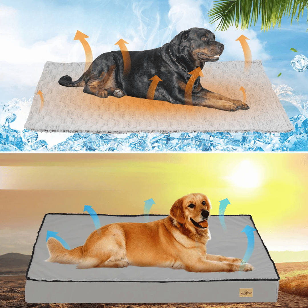 Letto Confortevole Per Cani – Ideale Per Il Riposo E Il Recupero