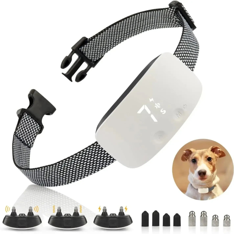Colar Anti-Latido Para Cão – Recarregável E À Prova D'Água
