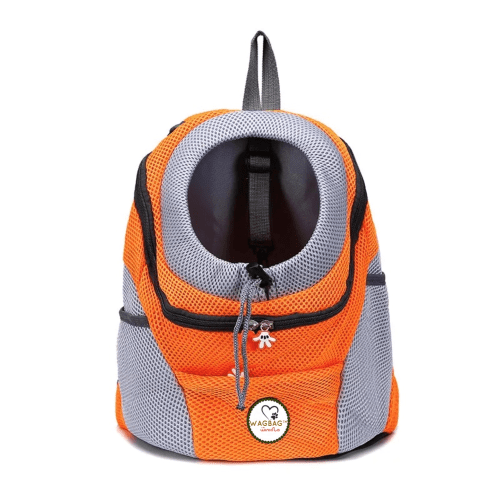 Backpack for Transporting Animals — Comfort and Safety on the Go