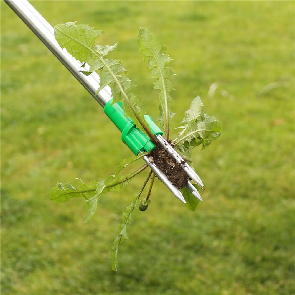 Weed Extractor – Easy Removal While Standing