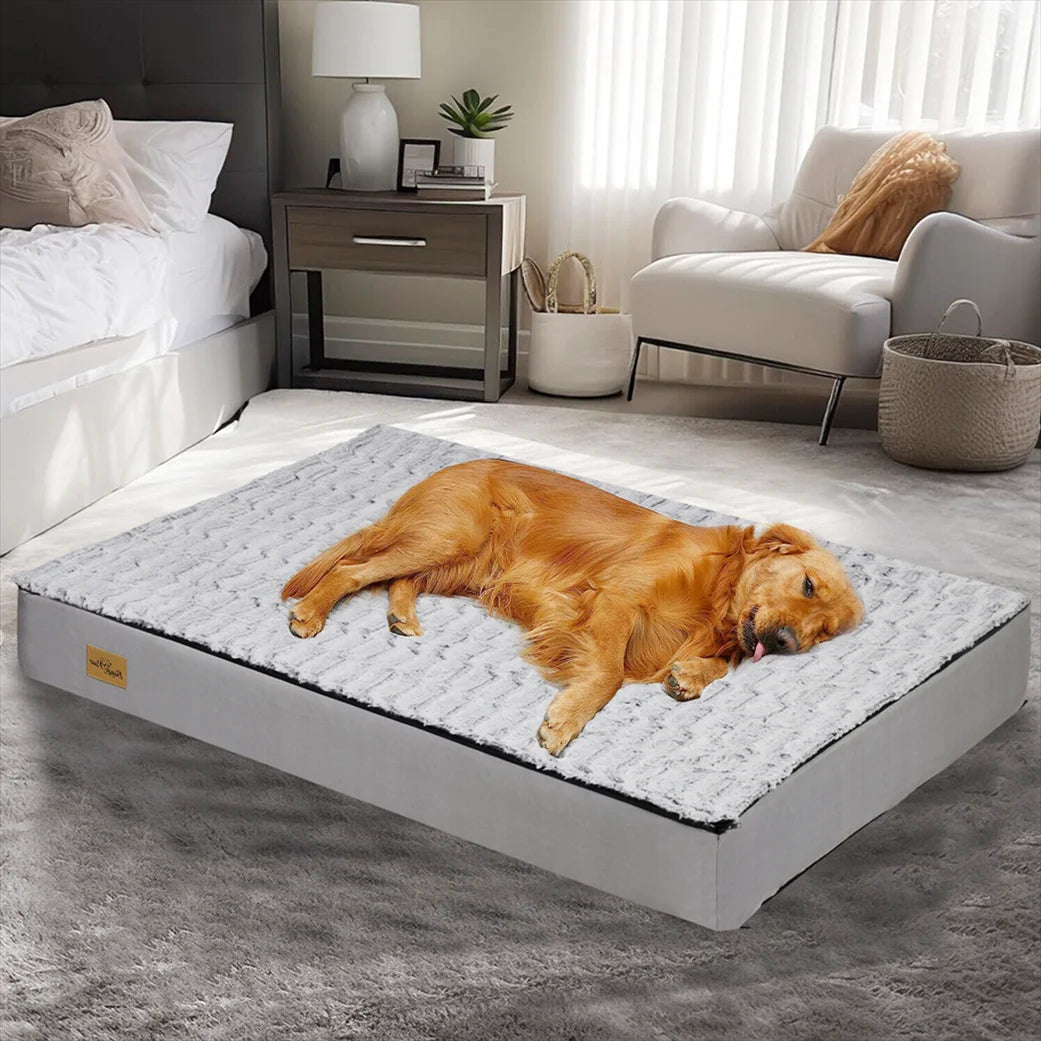 Letto Confortevole Per Cani – Ideale Per Il Riposo E Il Recupero