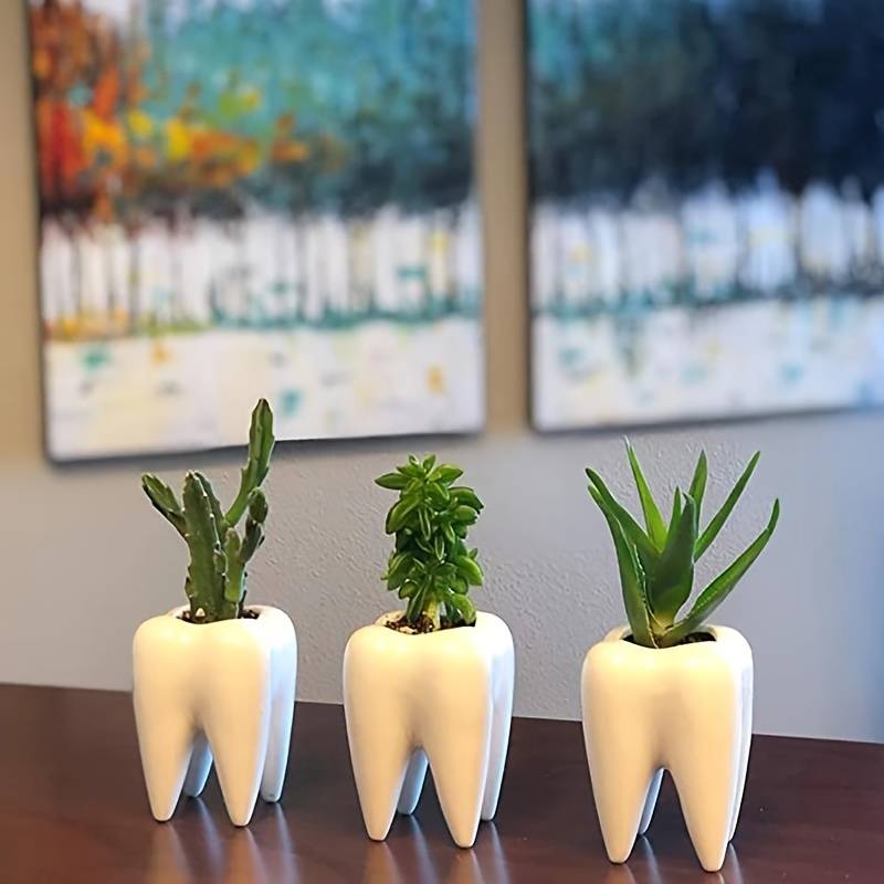 Vase Dentaire Polyvalent En Céramique