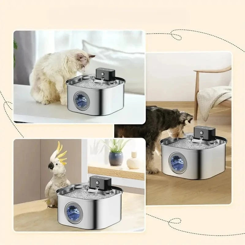 Trinkbrunnen für Katzen ohne Kabel – Reines und kontinuierliches Trinken