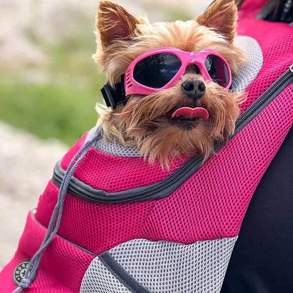 Animal Backpack – Transparent Window and Large Interior Space