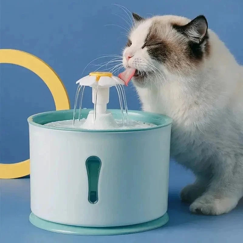Design Water Fountain for Cats – Hydration and Elegance