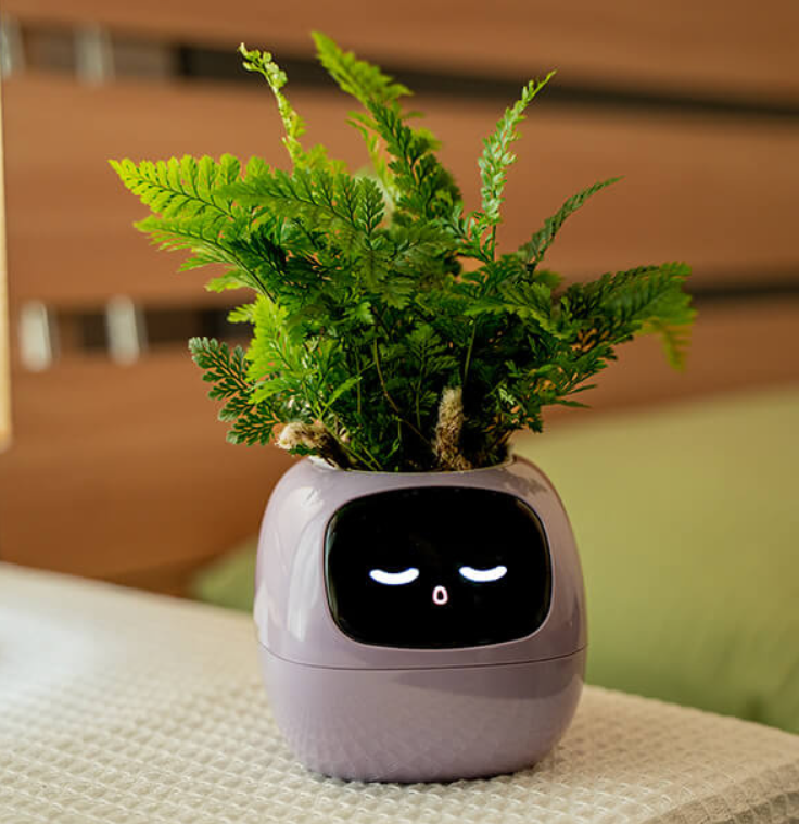 Emoji Ghiveci de Flori – Decorațiune Originală și Amuzantă 