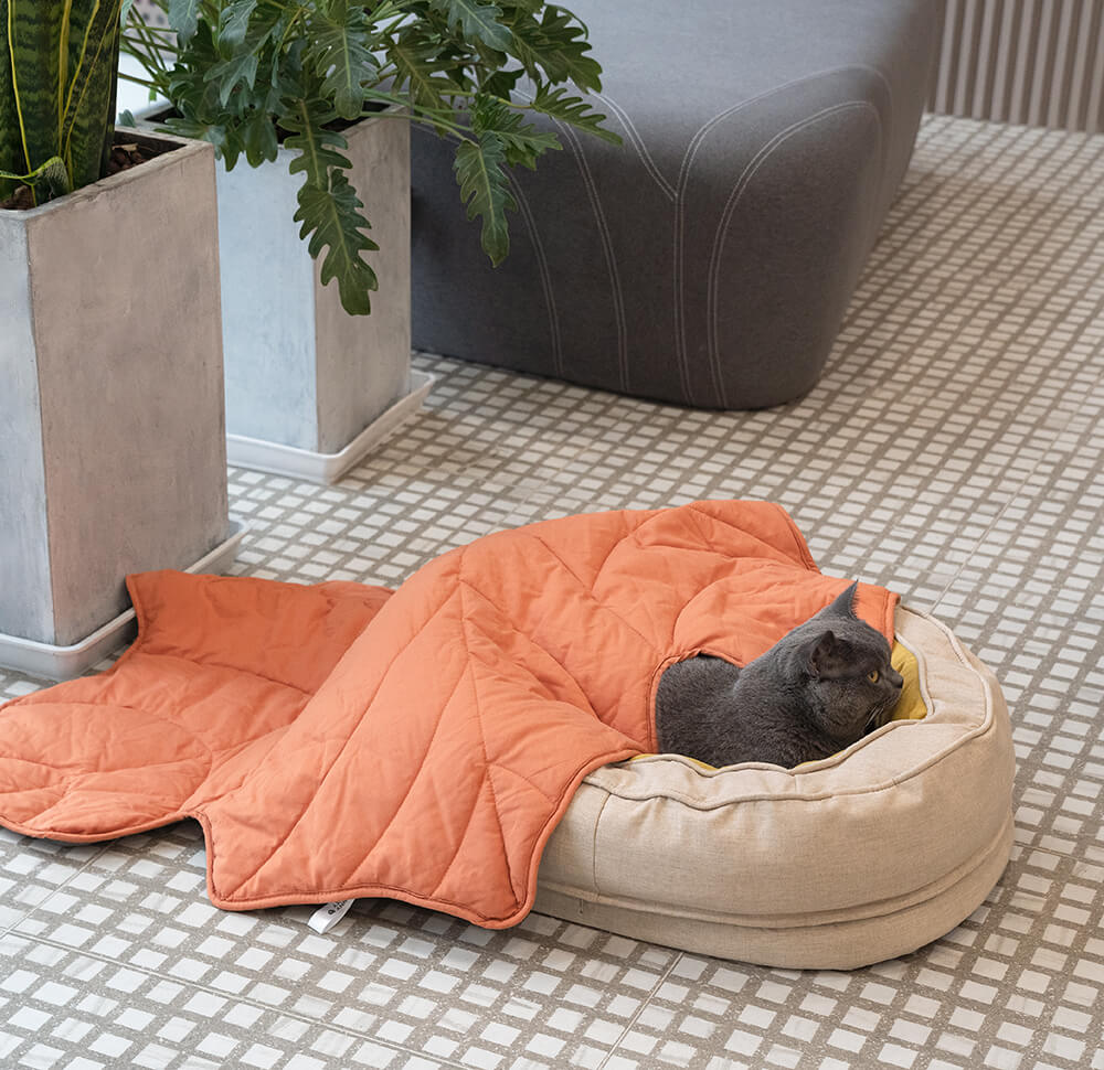 Letto a forma di ciambella per cani – Comfort e dolcezza 