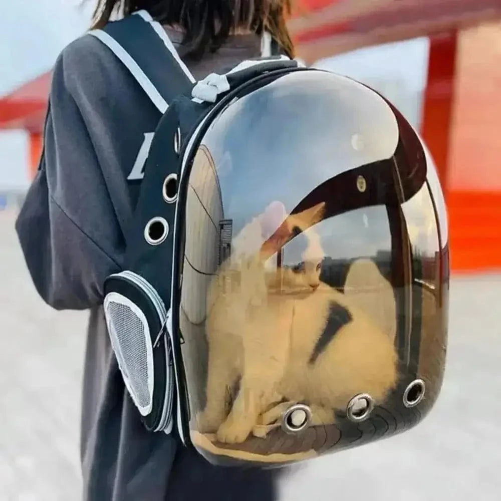 Mochila Bulle Para Gato – Conforto e Segurança em Viagem 