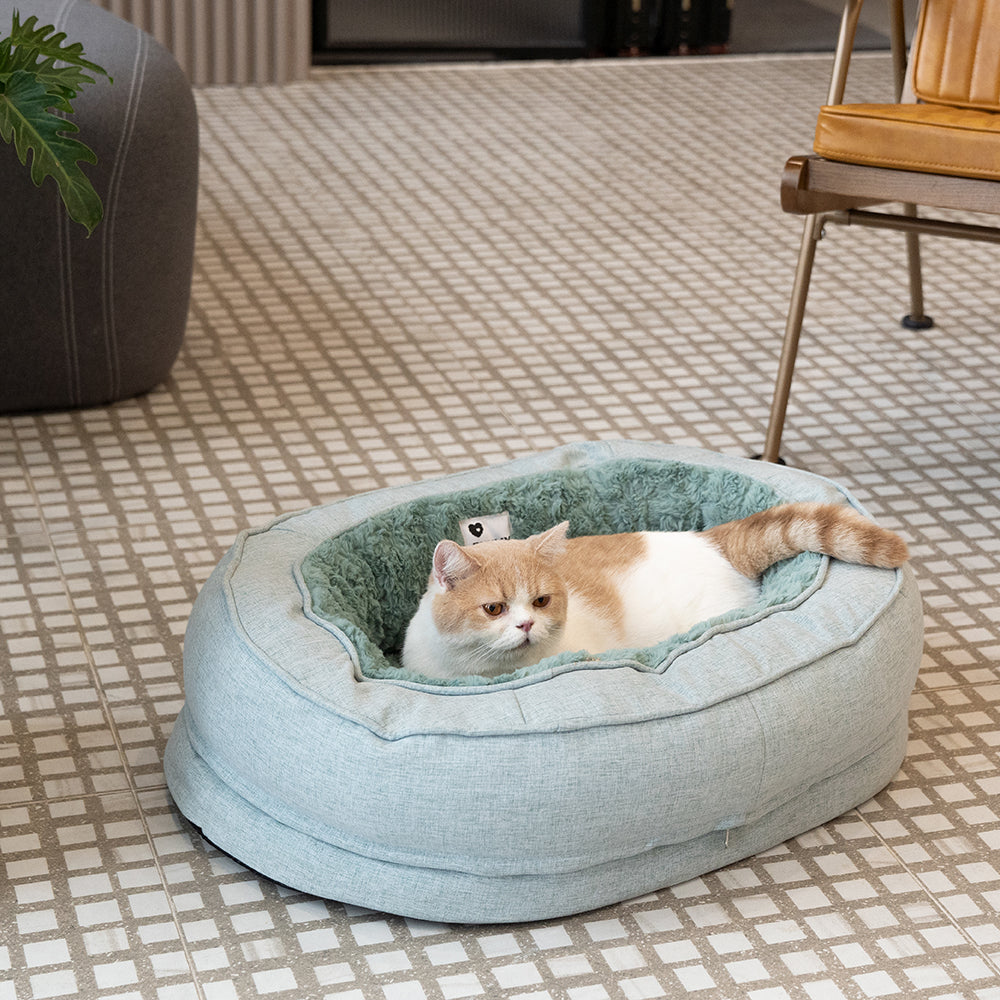 Letto a forma di ciambella per cani – Comfort e dolcezza 