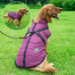 Parka Imperméable Pour Chien - Protection & Style