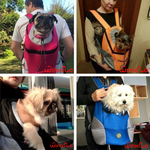 Transport-Rucksack für Tiere — Komfort und Sicherheit unterwegs 