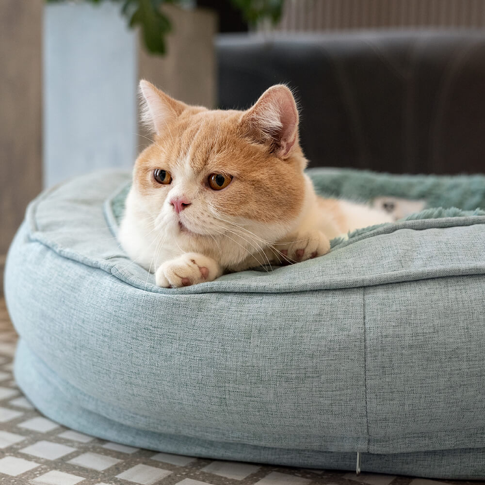 Letto a forma di ciambella per cani – Comfort e dolcezza 