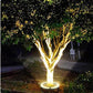 LED Buitenprojector - Verlicht Uw Tuin Met Kracht 