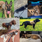 Verstellbares Hundegeschirr – Robustheit und Kontrolle 