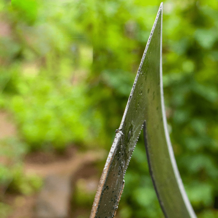 Hoz de Jardín – Herramienta Precisa Para Un Trabajo Sin Esfuerzo 