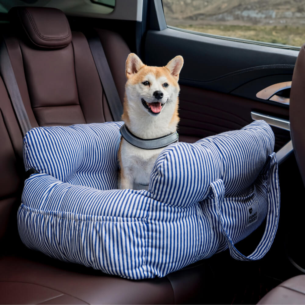 Seggiolino Auto Per Cani – Comfort E Sicurezza In Viaggio 