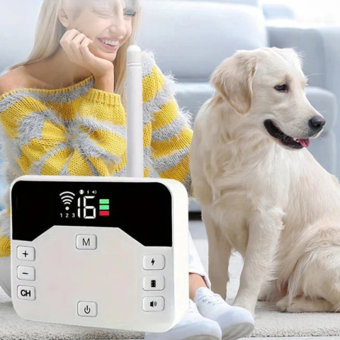 ワイヤレスフェンスとしつけ用カラー – 犬の安全と教育 