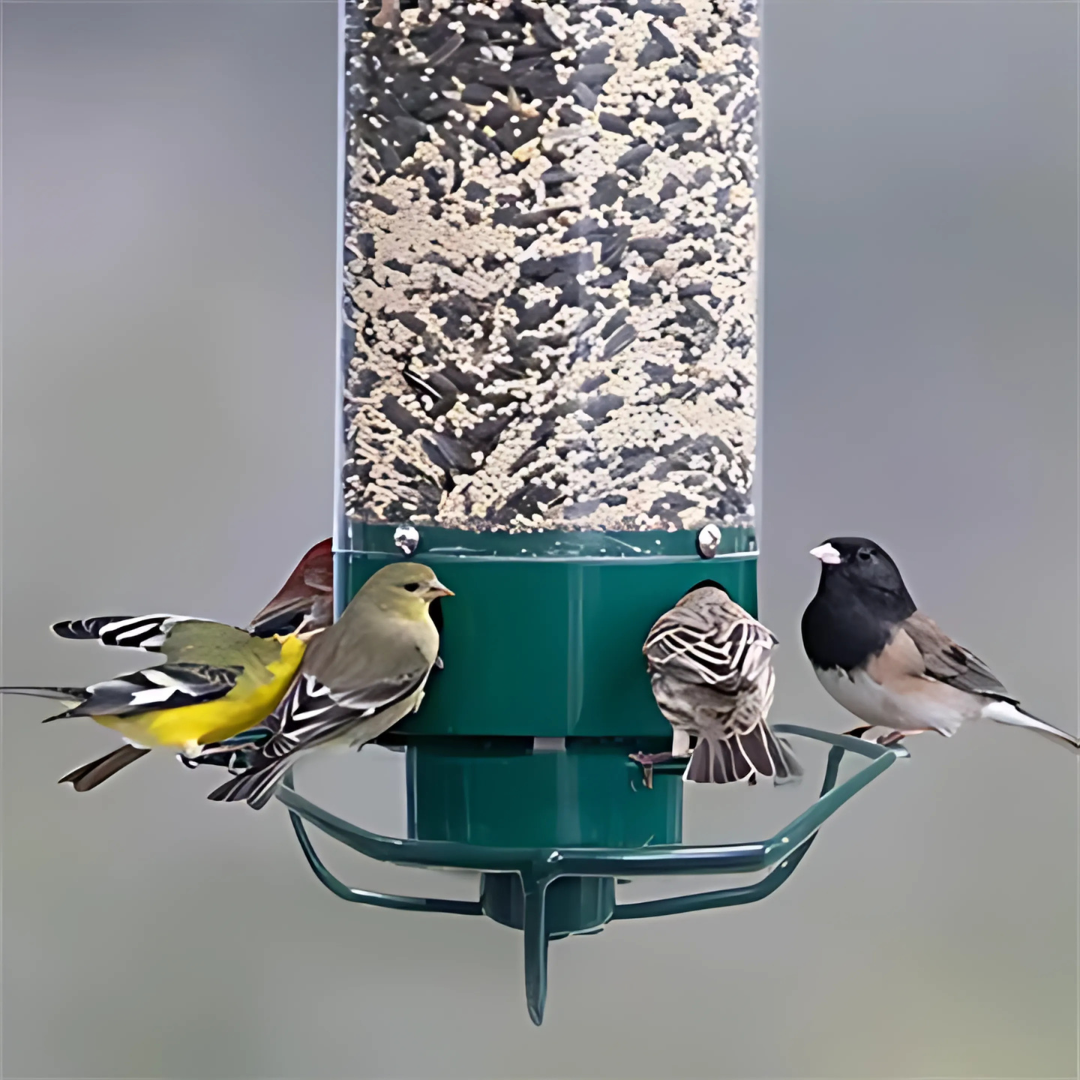 吊り下げ式鳥の餌箱 – リス防止と簡単な補充 