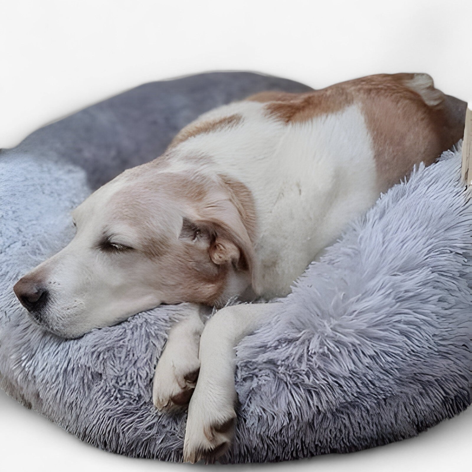 Letto Rilassante Per Animali – Comfort Accogliente E Sonno Ristoratore 