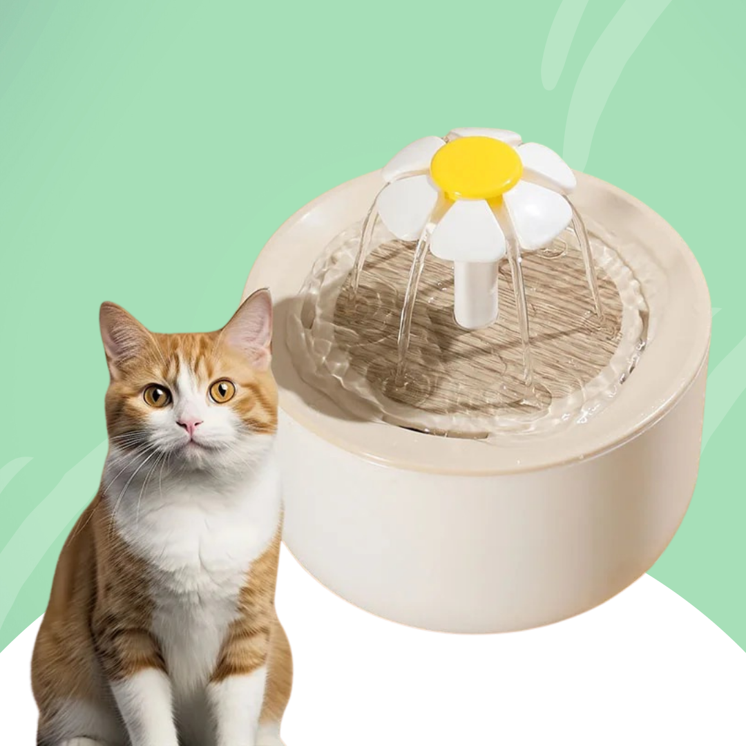 Wasserbrunnen für Katzen — Ständige Hydration und immer frisches Wasser 