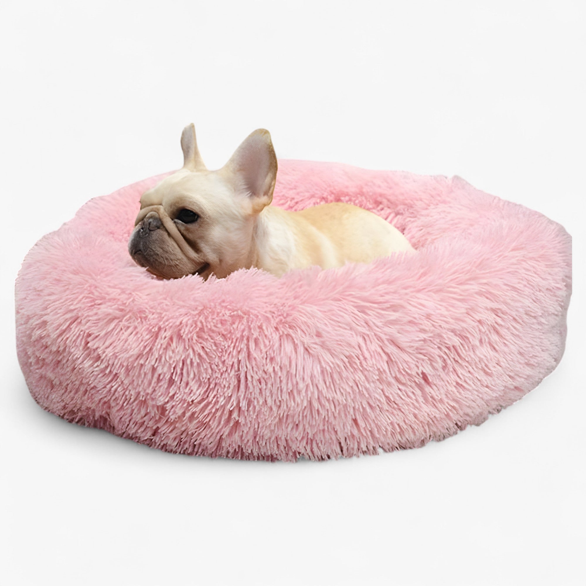 Letto Rilassante Per Animali – Comfort Accogliente E Sonno Ristoratore 